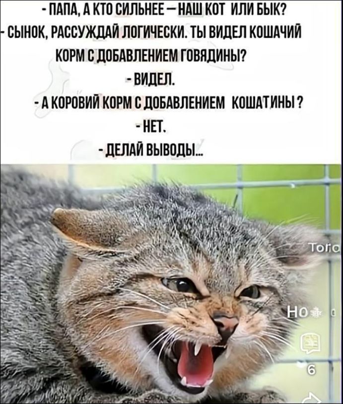 - ПАПА, А КТО СИЛЬНЕЕ — НАШ КОТ ИЛИ БЫК?
- СЫН, РАССУЖДАЙ ЛОГИЧЕСКИ. ТЫ ВИДЕЛ КОШАЧИЙ КОРМ С ДОБАВЛЕНИЕМ ГОВЯДИНЫ?
- ВИДЕЛ.
- А КОРОВЫЙ КОРМ С ДОБАВЛЕНИЕМ КОШАТИНЫ?
- НЕТ.
- ДЕЛАЙ ВЫВОДЫ...