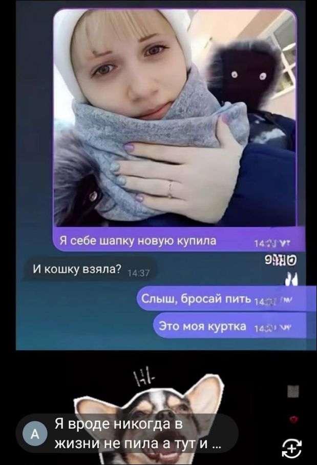 Я себе шапку новую купила
И кошку взяла?
Слыш, бросай пить
Это моя куртка
Я вроде никогда в жизни не пила а тут и …