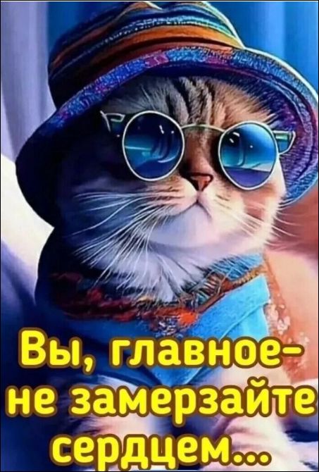 Вы, главное- не замерзайте сердцем...