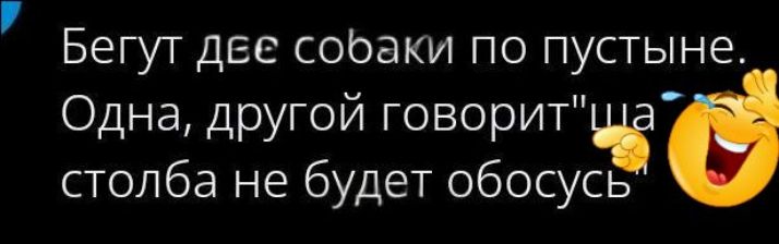 Бегут две собаки по пустыне. Одна, другой говорит 'ща' столба не будет обосось
