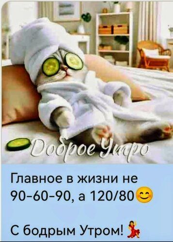 Доброе утро. Главное в жизни не 90-60-90, а 120/80 😊 С бодрым утром!