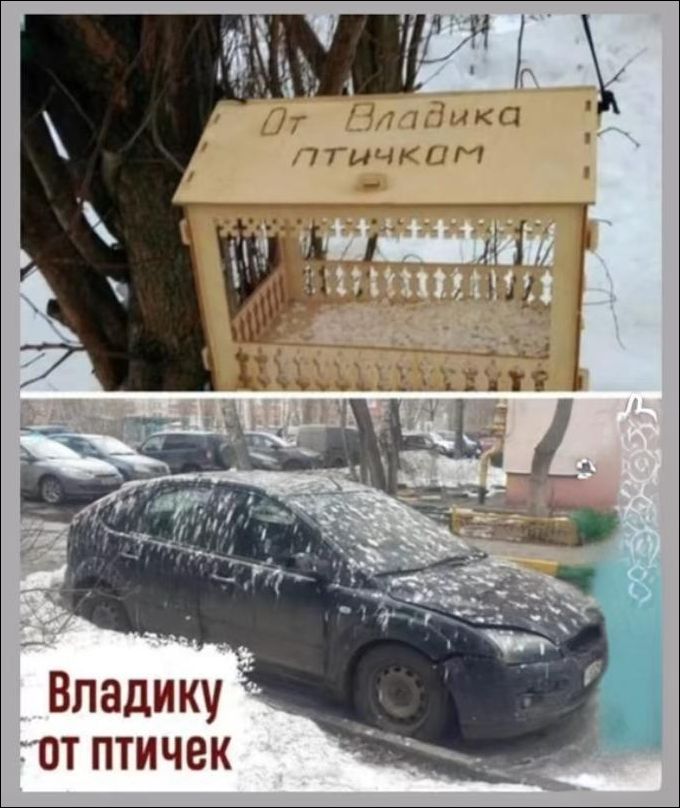 От Владика птичком
Владику от птичек