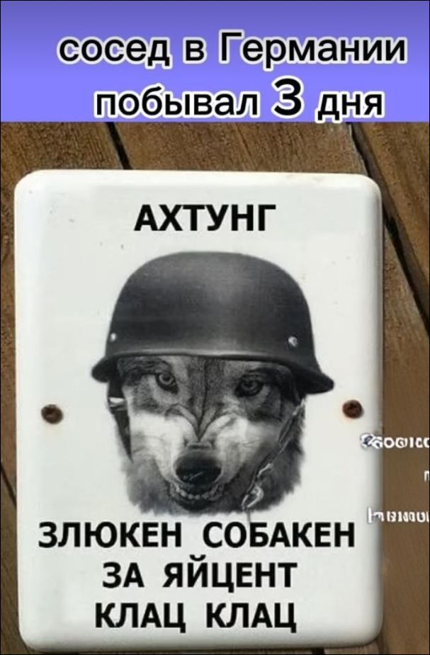 сосед в Германии побывал 3 дня АХТУНГ ЗЛЮКЕН СОБАКЕН ЗА ЯЙЦЕН КЛАЦ КЛАЦ