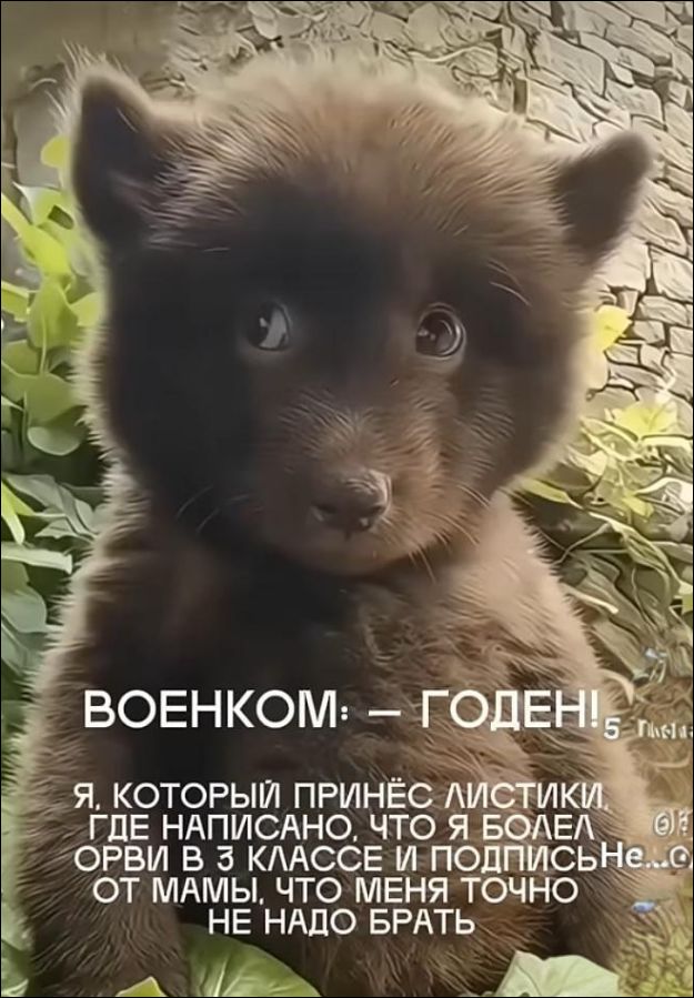 ВОЕНКОМ: — ГОДЕН! Я, КОТОРЫЙ ПРИНЁС ЛИСТИКИ, ГДЕ НАПИСАНО, ЧТО Я БОЛЕЮ ОРВИ В 3 КЛАССЕ И ПОДПИСНЕ... ОТ МАМЫ, ЧТО МЕНЯ ТОЧНО НЕ НУЖНО БРАТЬ