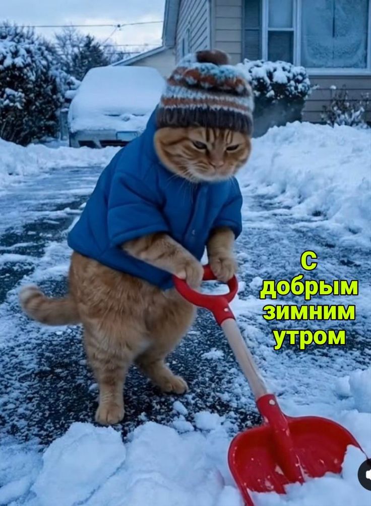 С добрым зимним утром