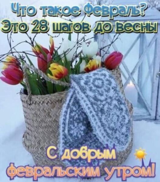 Что такое февраль? Это 28 шагов до весны. С добрым февральским утром!