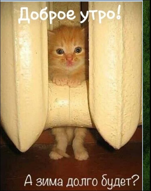 Доброе утро! А зима долго будет?