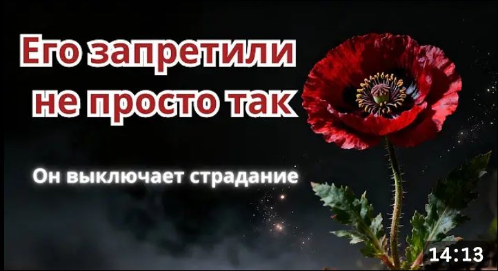 Его запретили не просто так
Он выключает страдание