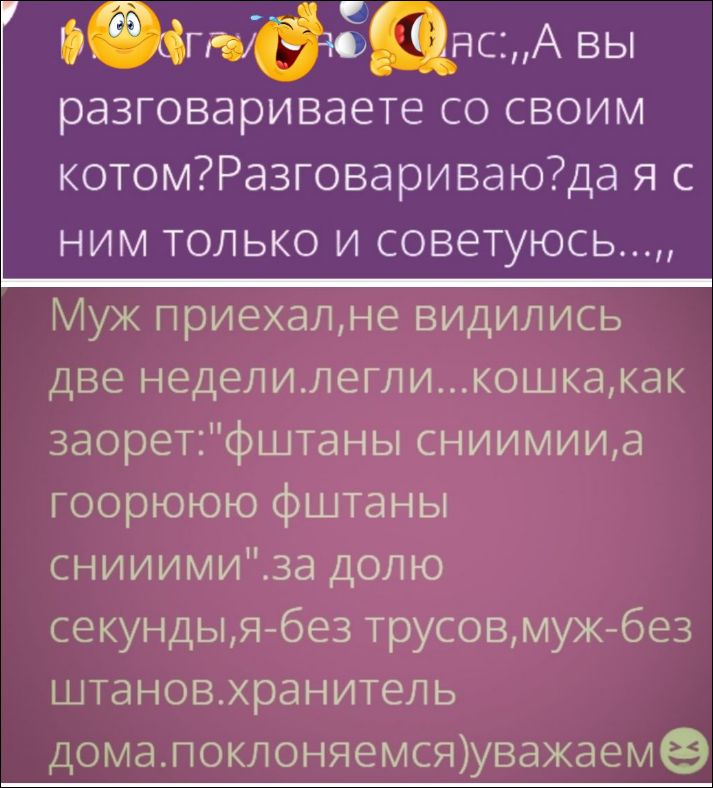 Муж приехал,не видились две недели.легли...кошка,как зао рет: 'фштан снямии,а горою фштаны сняими'.за долю секунды,я без трусов,муж без штанов.хранитель дома.поклоняемся)уважеем