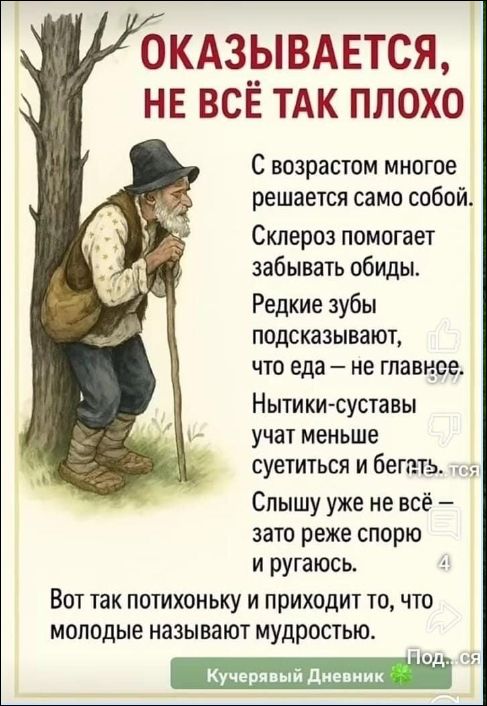 ОКАЗЫВАЕТСЯ, НЕ ВСЁ ТАК ПЛОХО. С возрастом многое решается само собой. Склероз помогает забывать обиды. Редкие зубы подсказывают, что еда — не главнее. Нытники-суставы учат меньше суетиться и бегать. Слышy уже не всё — зато реже спорю и ругаюсь. Вот так потихоньку и приходит то, что молодые называют мудростью. Кучерявый Дневник