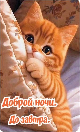 Доброй ночи. До завтра.