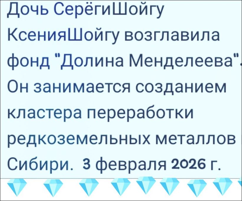 Дочь СерёгиШойгу КсенияШойгу возглавила фонд 