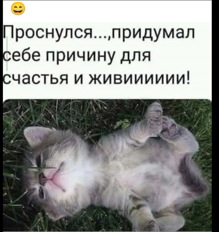 Проснулся...,придумал себе причину для счастья и живииии!