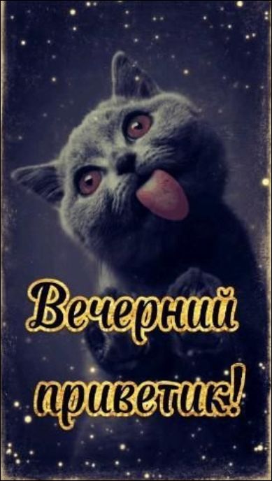 Вечерний приветик!
