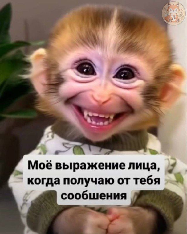 Моё выражение лица, когда получаю от тебя сообщения