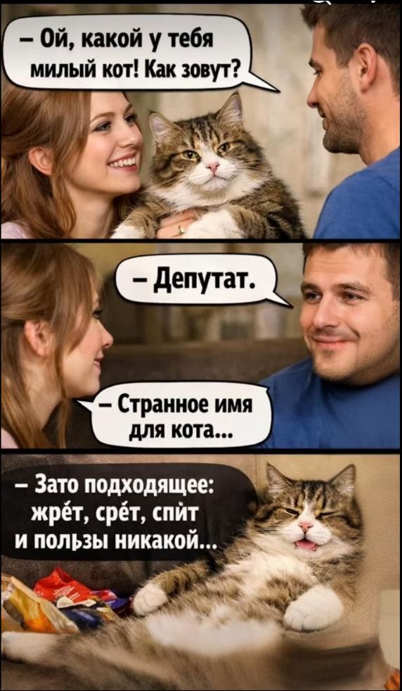 Ой, какой у тебя милый кот! Как зовут? – Депутат. – Странное имя для кота... – Зато подходящее: жрет, срет, спит и пользы никакой...