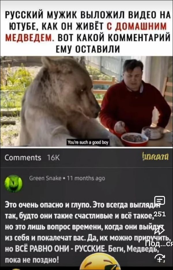Русский мужик выложил Видео на ютубе, как он живёт с домашним медведем. Вот какой комментарий ему оставили. You're such a good boy. Это очень опасно и глупо. Это всегда выглядит так, будто они такие счастливые и всё такое, но это лишь вопрос времени, когда они выйдут из себя и покалечат вас. Да, их можно приручить, но всё равно они — русские. Беги, Медведь, пока не поздно!