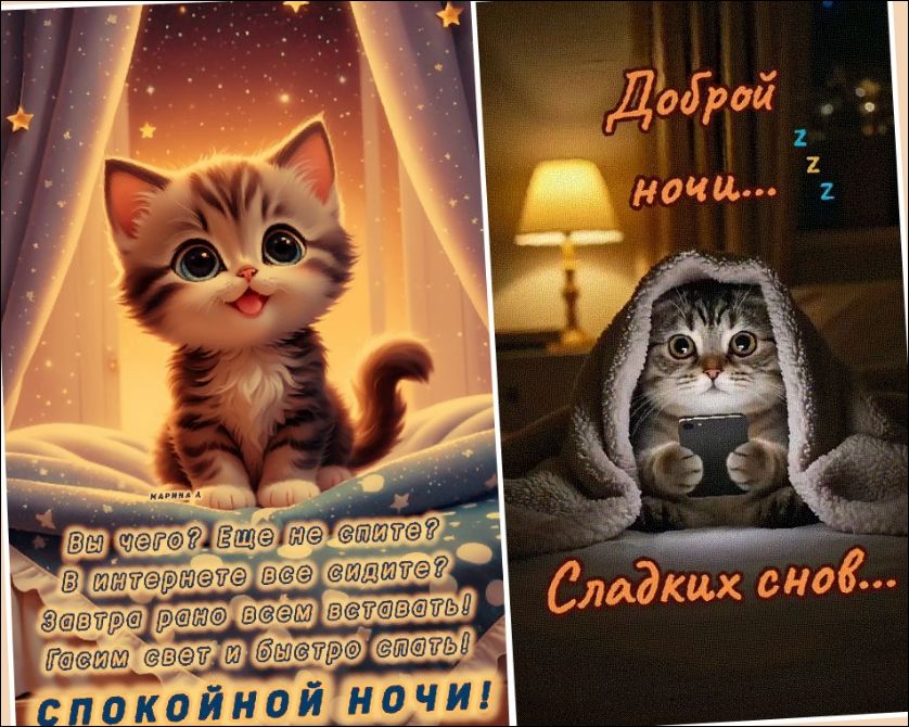 Спокойной ночи! Доброй ночи... Сладких снов...