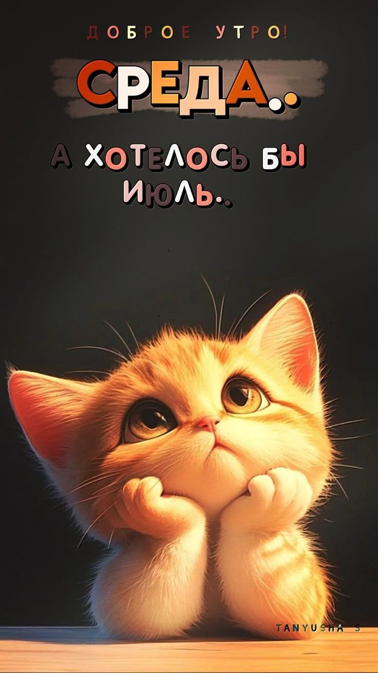 ДОБРОЕ УТРО! СРЕДА. А ХОТЕЛОСЬ БЫ ИЮЛЬ.