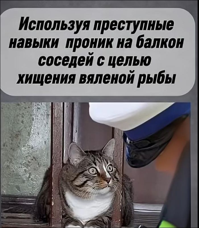 Используя преступные навыки проник на балкон соседей с целью хищения вяленой рыбы
