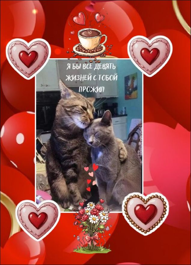 Я бы все девять жизней с тобой прошил