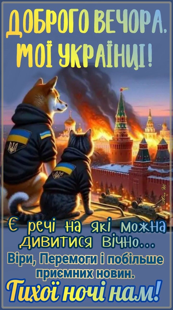 ДОБРОГО ВЕЧОРА, МОЇ УКРАЇНЦІ! Є речі на які можна дивитись вічно... Віри, Перемоги і побільше приємних новин. Тихої ночі нам!