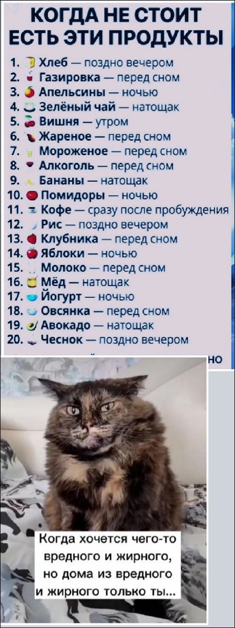 КОГДА НЕ СТОИТ ЕСТЬ ЭТИ ПРОДУКТЫ
1. Хлеб — поздно вечером
2. Газировка — перед сном
3. Апельсины — ночью
4. Зелёный чай — натощак
5. Вишня — утро
6. Жареное — перед сном
7. Мороженое — перед сном
8. Алкоголь — перед сном
9. Бананы — натощак
10. Помидоры — ночью
11. Кофе — сразу после пробуждения
12. Рис — поздно вечером
13. Клубника — перед сном
14. Яблоки — ночью
15. Молоко — перед сном
16. Мёд — натощак
17. Йогурт — ночью
18. Овсянка — перед сном
19. Авокадо — натощак
20. Чеснок — поздно вечером