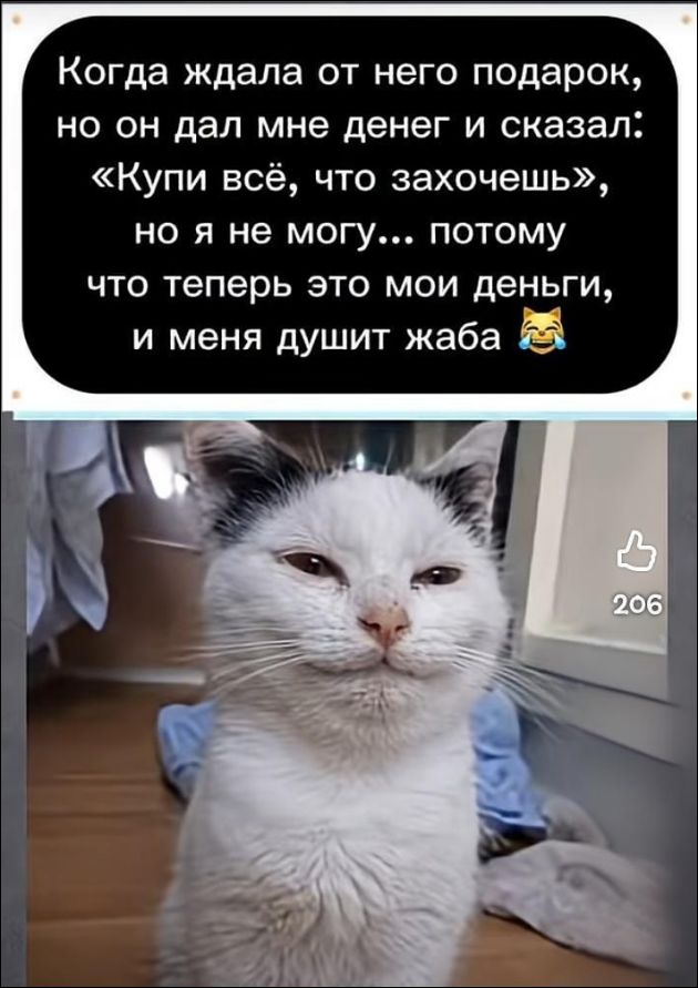 Когда ждала от него подарок, но он дал мне денег и сказал: «Купи всё, что захочешь», но я не могу... потому что теперь это мои деньги, и меня душит жаба 😹