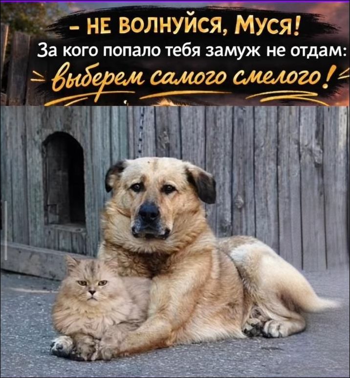 Не волнуйся, Муся! За кого попало тебя замуж не отдам: выберем самого смелого!