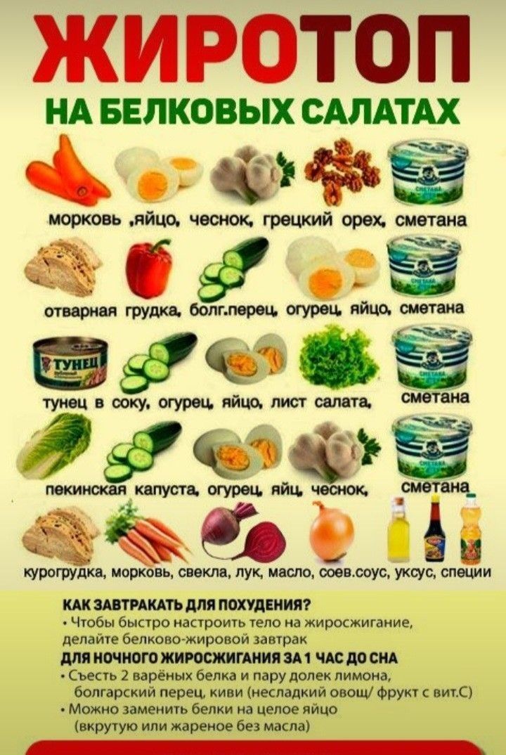 ЖИРОТОП НА БЕЛКОВЫХ САЛАТАХ. морковь, яйцо, чеснок, грецкий орех, сметана. отварная грудка, болг.перец, огурец, яйцо, сметана. тунг в сокe, огурец, яйцо, лист салата, сметана. пекинская капуста, огурец, яйцо, чеснок, сметана. курогрудка, морковь, свекла, лук, масло, соев. соус, уксус. 