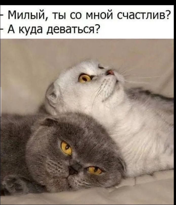Милый, ты со мной счастлив? - А куда деваться?