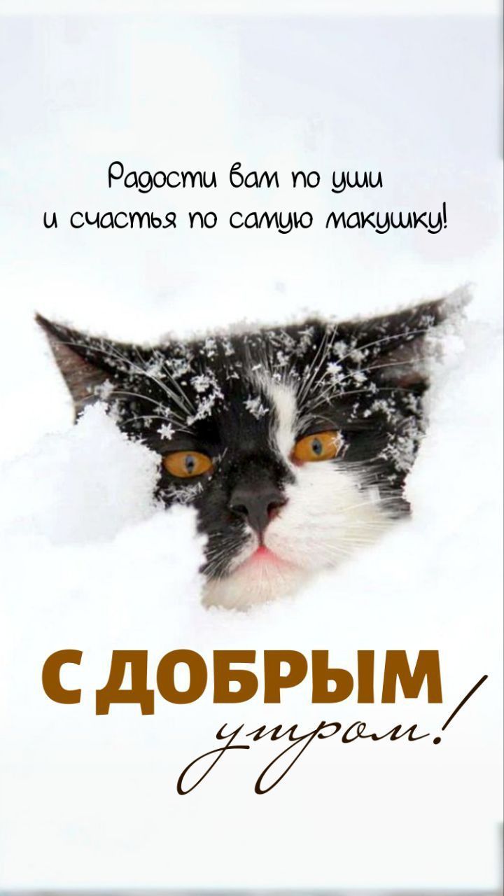 Радости вам по уши и счастья по самую макушку!
С ДОБРЫМ утром!