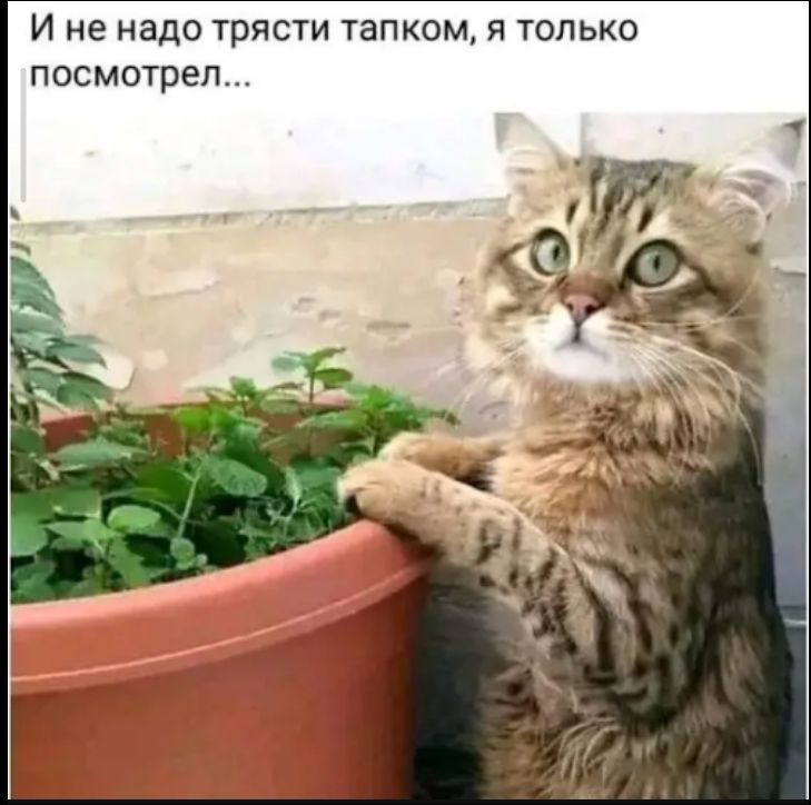 И не надо трясти тапком, я только посмотрел...