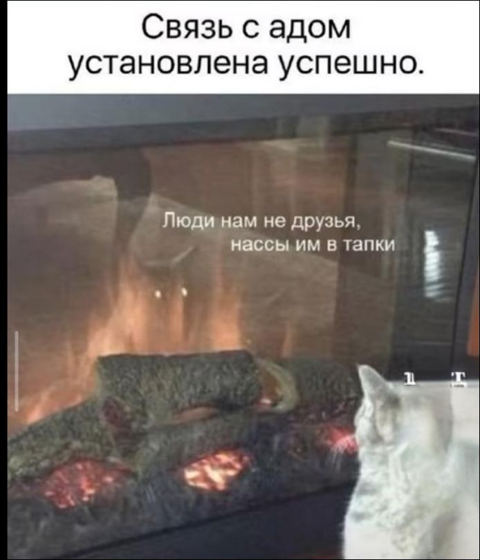 Связь с адом установлена успешно. Люди нам не друзья, насссы им в тапки