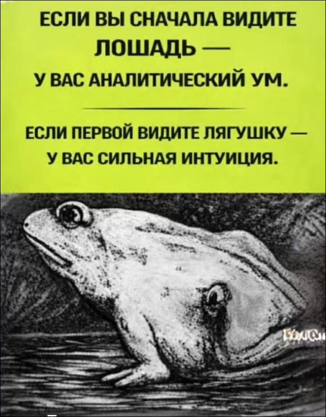 Если вы сначала видите лошадь — у вас аналитический ум. Если первой видите лягушку — у вас сильная интуиция.