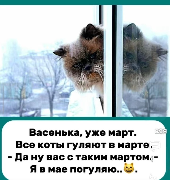 Васенька, уже март. Все коты гуляют в марте. - Да ну вас с таким мартом, Я в мае погуляю..
