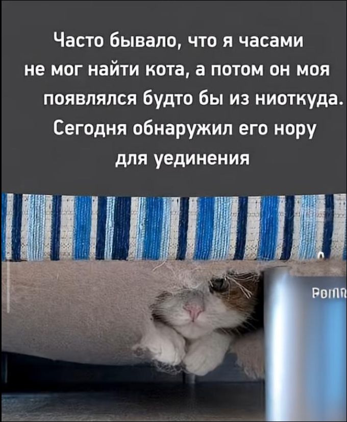 Часто бывало, что я часами не мог найти кота, а потом он моя появлялся будто бы из ниоткуда. Сегодня обнарузил его нору для уединения