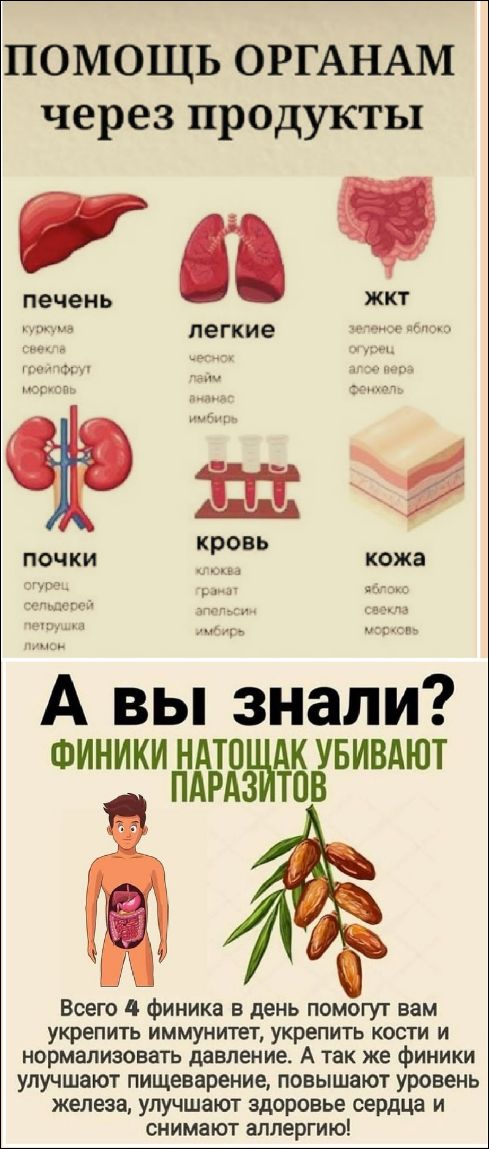 ПОМОЩЬ ОРГАНАМ через продукты печень легкие ЖКТ почки кровь кожа А вы знали? ФИНИКИ НАТощАК УБИВАЮТ ПАРАЗИТОВ Всего 4 финика в день помогут вам укрепить иммунитет, укрепить кости и нормализовать давление. А также финики улучшают пищеварение, повышают уровень железа, улучшают здоровье сердца и снимают аллергию!