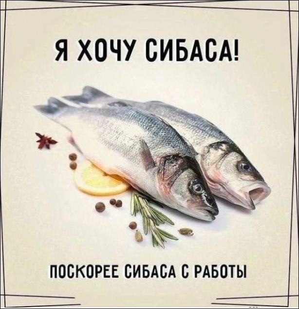 Я Хочу Сибаса!\nПоскорее сибаса с работы