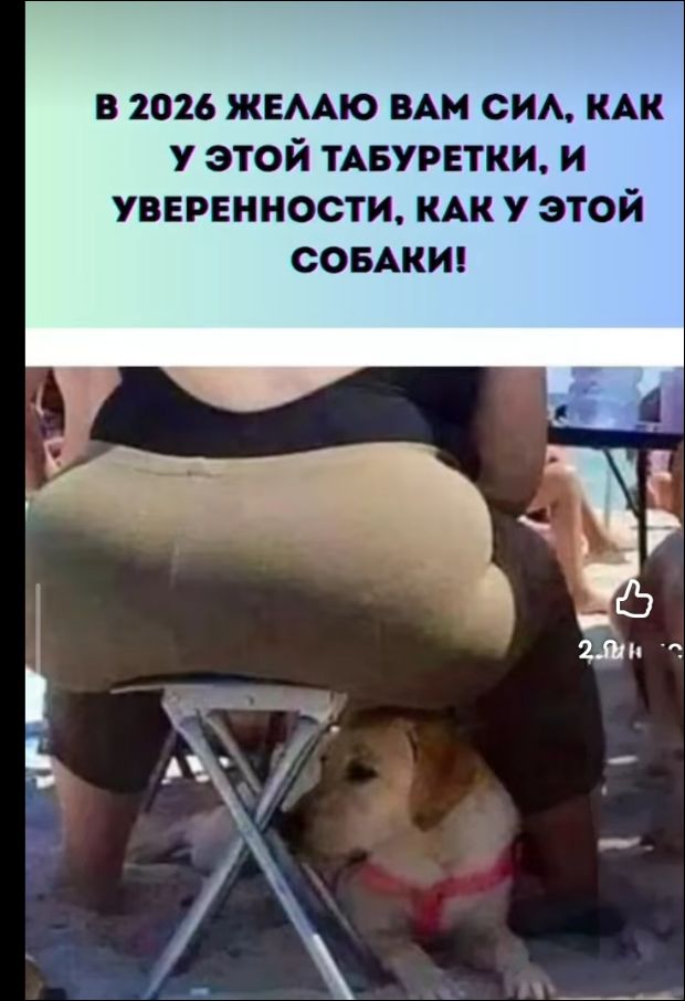 В 2026 ЖЕЛАЮ ВАМ СИЛ, КАК У ЭТОЙ ТАБУРЕТКИ, И УВЕРЕННОСТИ, КАК У ЭТОЙ СОБАКИ!