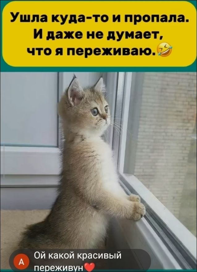 Ушла куда-то и пропала. И даже не думает, что я переживаю. Ой какой красивый переживун