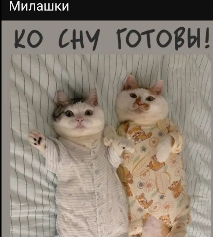 КО СНУ ГОТОВЫ!