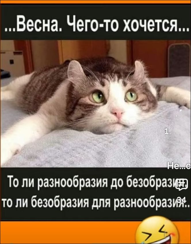 ...Весна. Чего-то хочется... То ли разнообразие до безобразия... то ли безобразия для разнообразия...