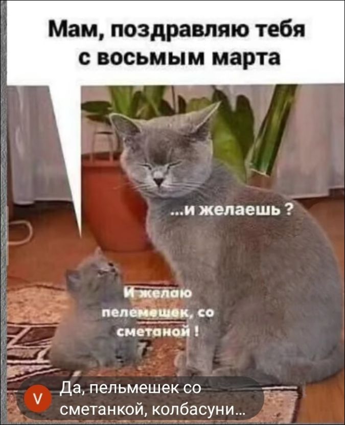 Мам, поздравляю тебя с восьмым марта ...и желаешь? И желаю пельмешек, со сметаной! Да, пельмешек со сметанкой, колбасуни...
