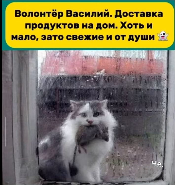 Волонтёр Василий. Доставка продуктов на дом. Хоть и мало, зато свежие и от души