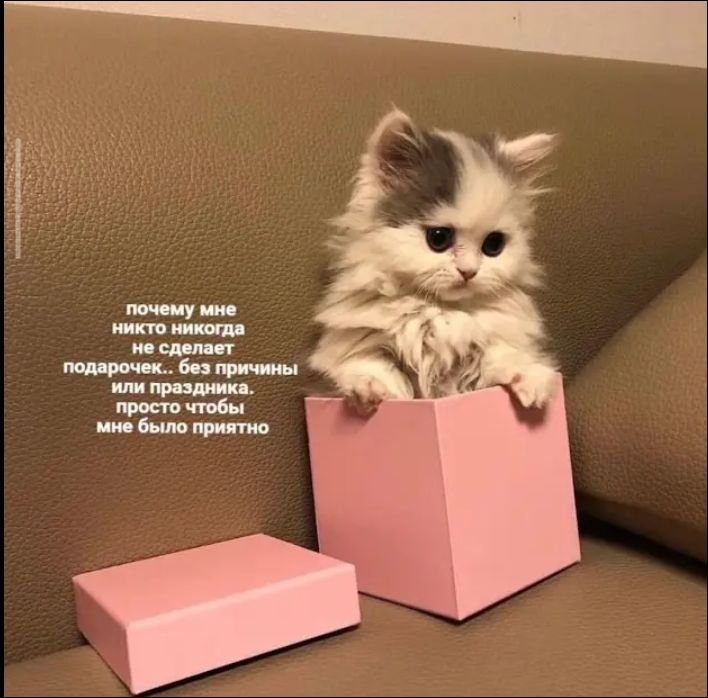 почему мне никто никогда не делает подарок... без причины или праздника, просто чтобы мне было приятно