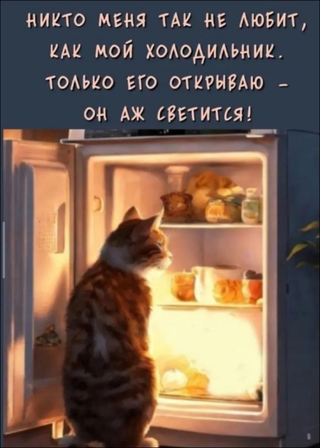 НИКТО МЕНЯ ТАК НЕ ЛЮБИТ, КАК МОЙ ХОЛОДИЛЬНИК. ТОЛЬКО ЕГО ОТКРЫВАЮ - ОН АЖ СВЕТИТСЯ!