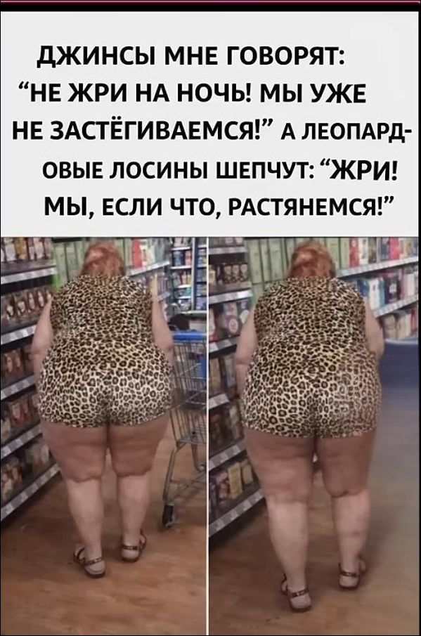 Джинсы мне говорят: 'Не жри на ночь! Мы уже не застегиваемся!' А леопардовые лосины шепчут: 'Жри! Мы, если что, растянемся!'