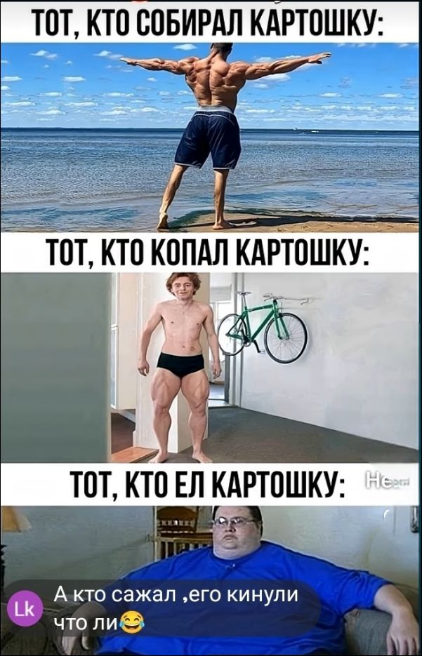 ТОТ, КТО СОБИРАЛ КАРТОШКУ:
ТОТ, КТО КОПАЛ КАРТОШКУ:
ТОТ, КТО ЕЛ КАРТОШКУ:
А кто сказал ,его кинули что ли