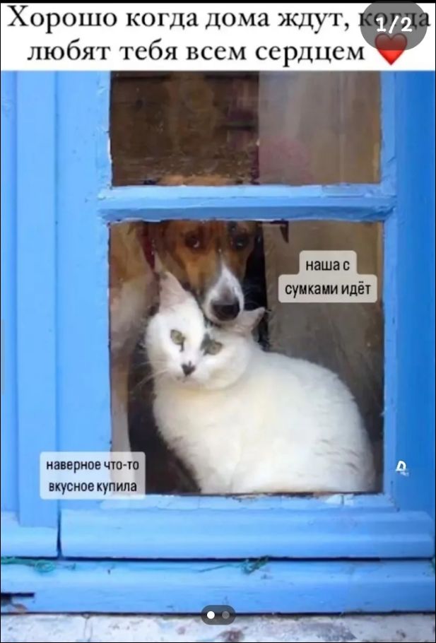 Хорошо когда дома ждут, любят тебя всем сердцем ❤️ наверное что-то вкусное купила наша с сумками идёт